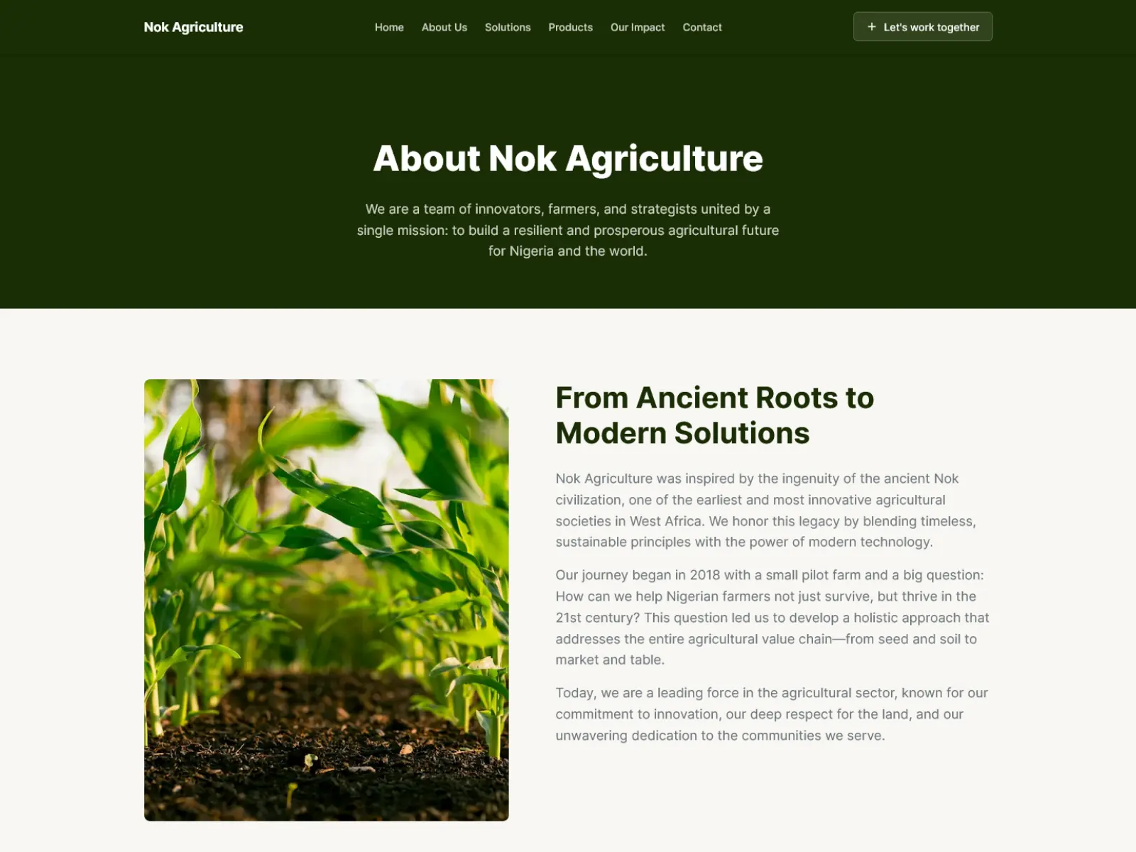 Nok Agriculture About Us
